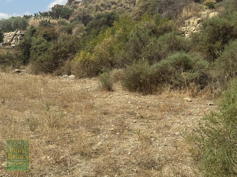 https://www.pricebrown.com/images/propertyImages/lancariatiz-land-for-sale-in-cariatiz/lancariatiz-land-for-sale-in-cariatiz-9198007.jpg