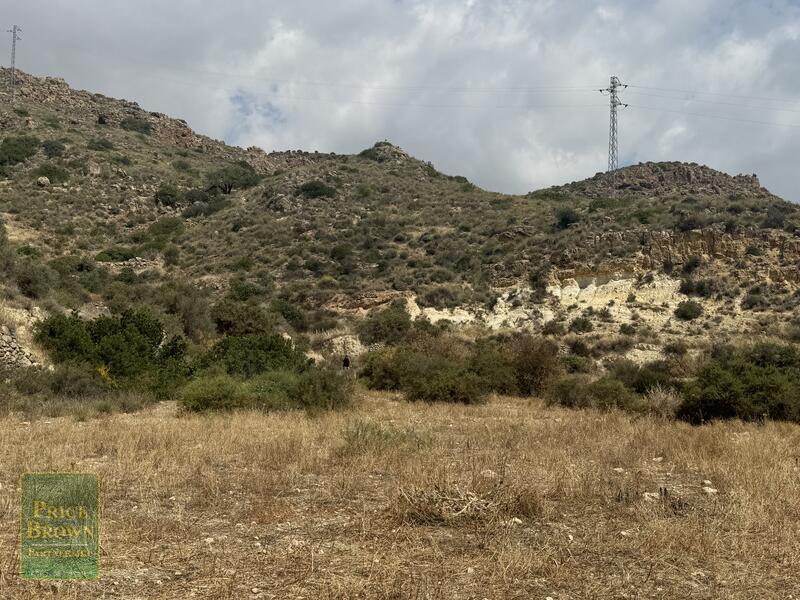 https://www.pricebrown.com/images/propertyImages/lancariatiz-land-for-sale-in-cariatiz/lancariatiz-land-for-sale-in-cariatiz-7587373.jpg