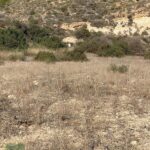 https://www.pricebrown.com/images/propertyImages/lancariatiz-land-for-sale-in-cariatiz/lancariatiz-land-for-sale-in-cariatiz-43666162.jpg