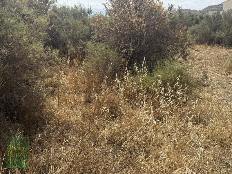 https://www.pricebrown.com/images/propertyImages/lancariatiz-land-for-sale-in-cariatiz/lancariatiz-land-for-sale-in-cariatiz-81922178.jpg