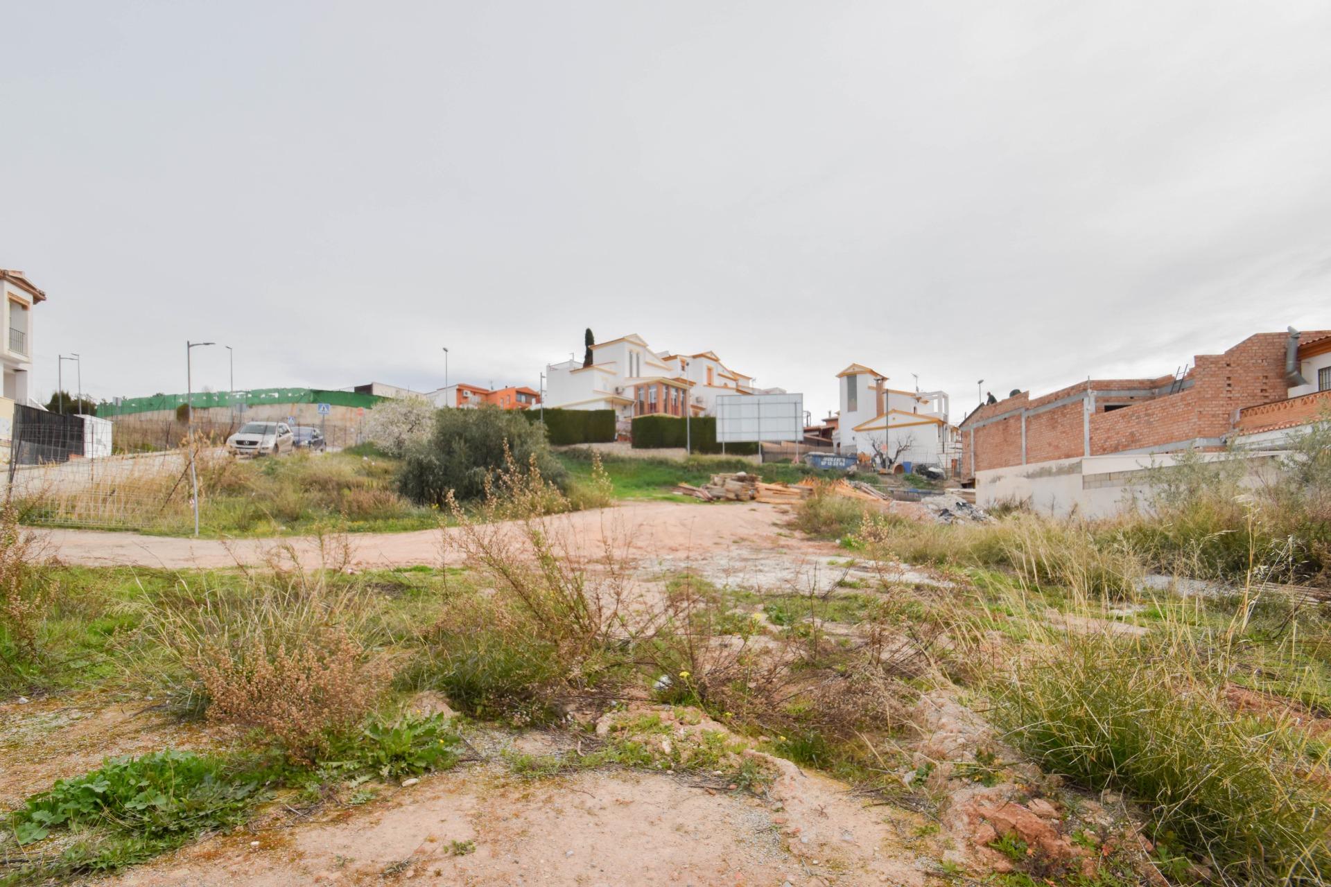 https://fotos15.apinmo.com/5292/29515903/1-8.jpg