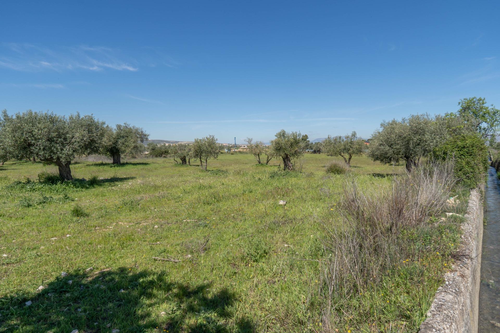 https://fotos15.apinmo.com/5292/29515748/1-3.jpg