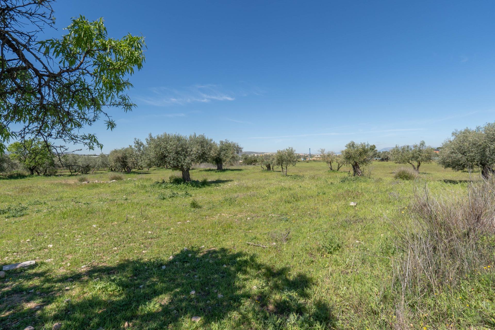 https://fotos15.apinmo.com/5292/29515748/1-4.jpg