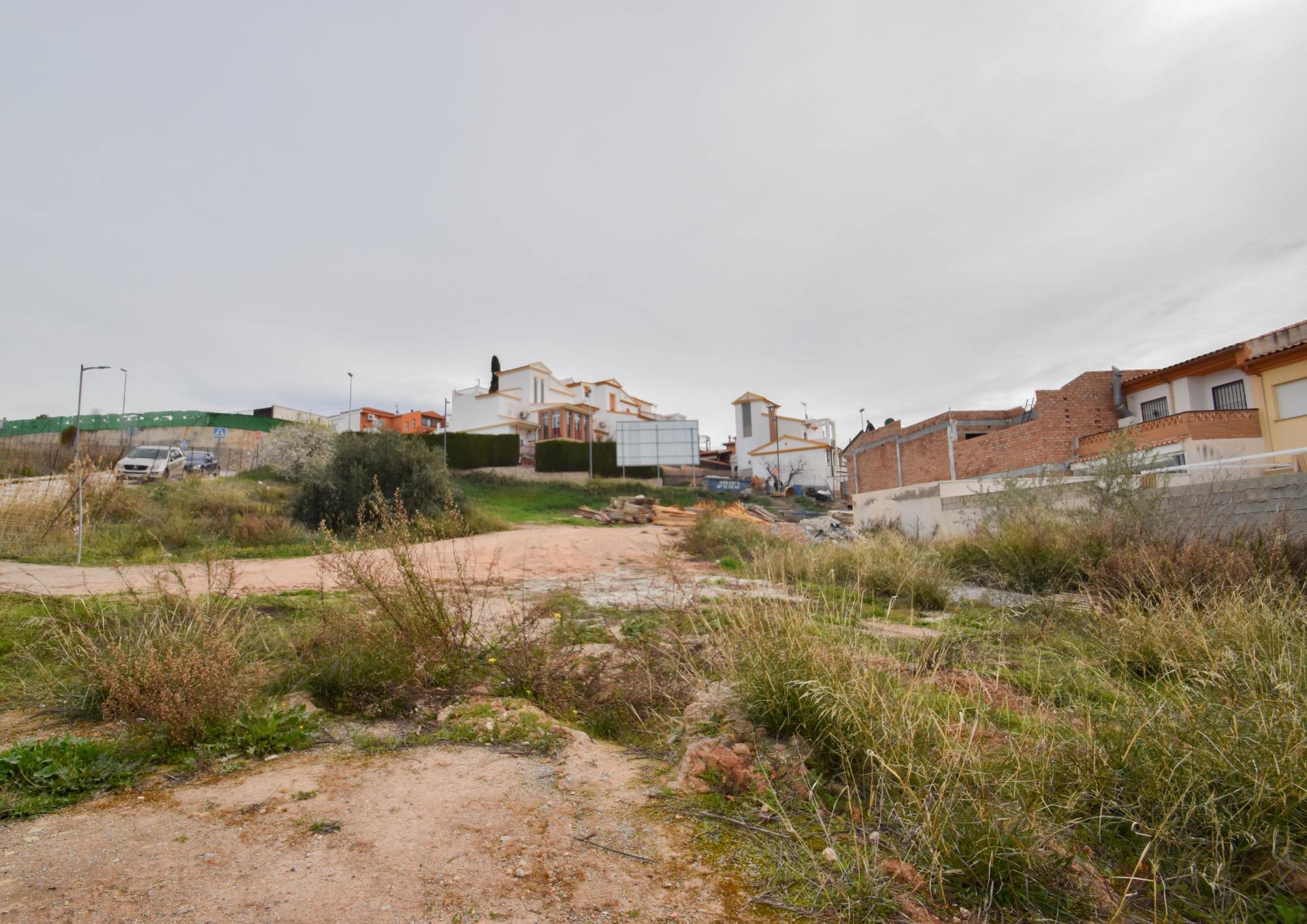 https://fotos15.apinmo.com/5292/29515916/1-5.jpg