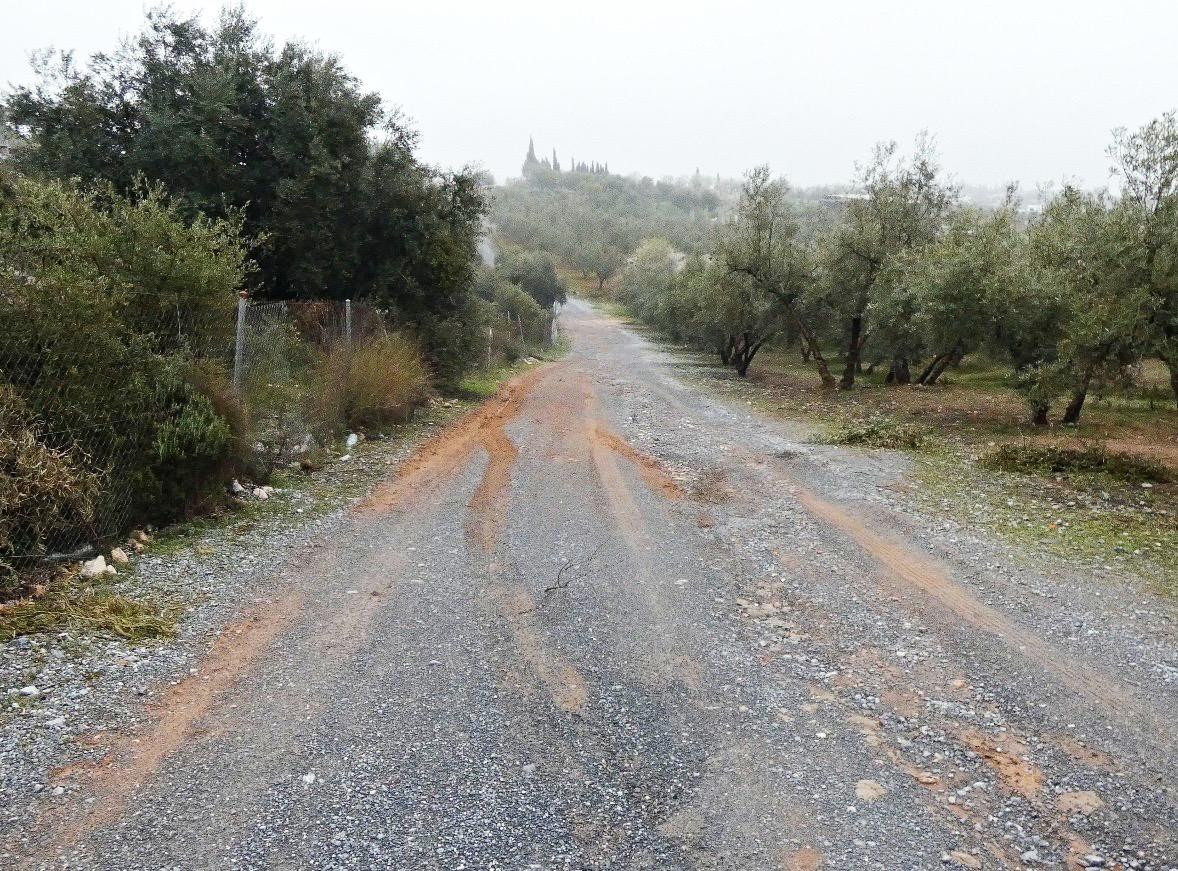 https://fotos15.apinmo.com/5292/29502236/2-8.jpg