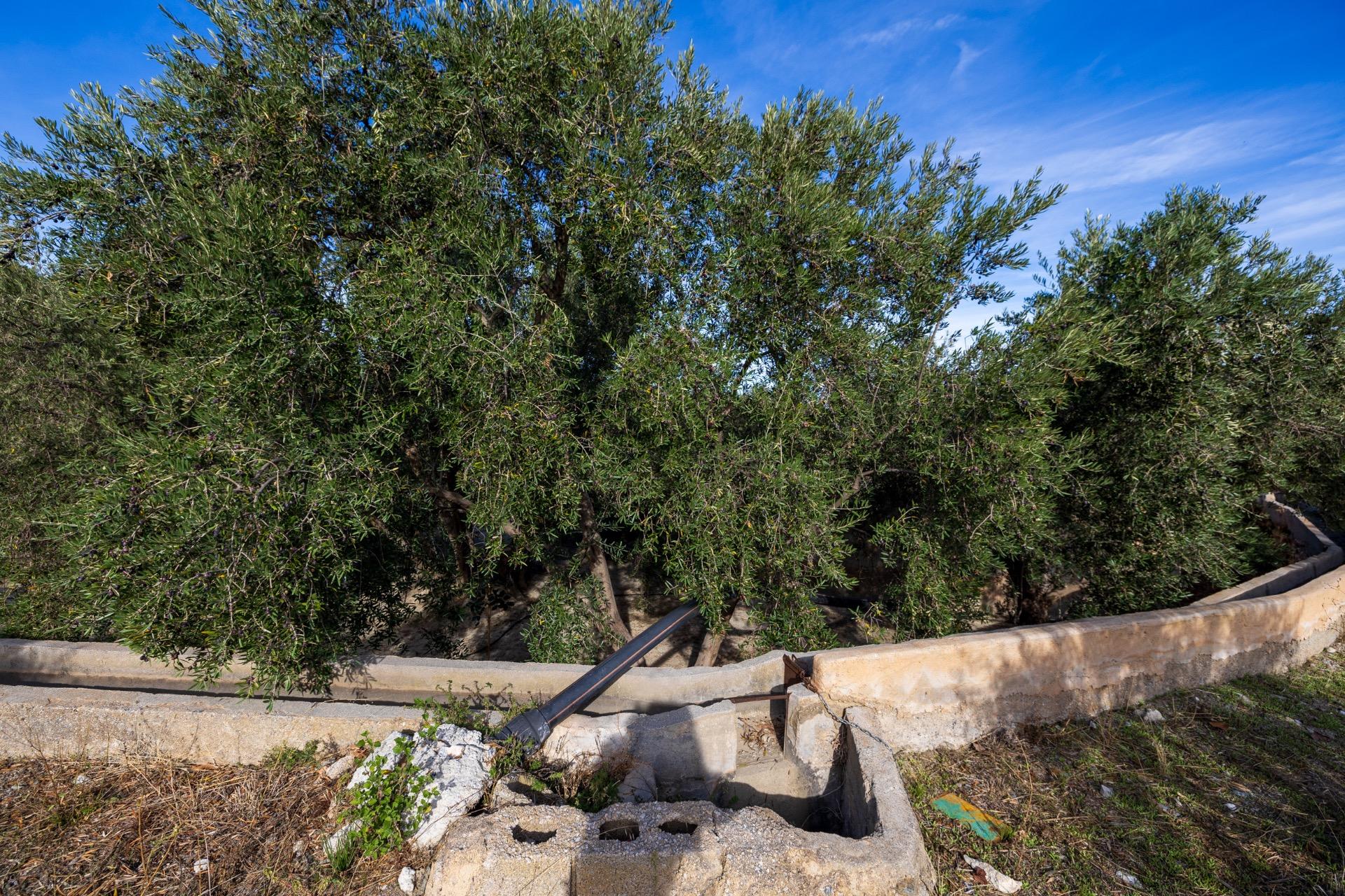 https://fotos15.apinmo.com/5292/29570728/2-8.jpg