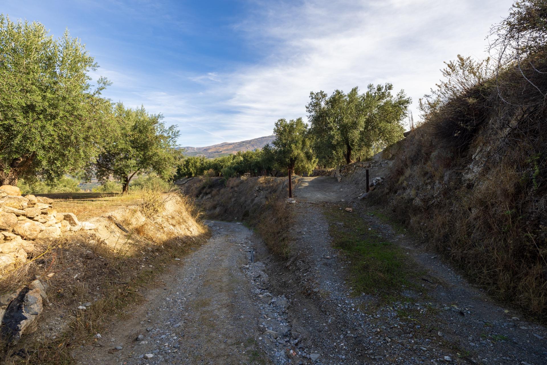 https://fotos15.apinmo.com/5292/29570728/2-5.jpg