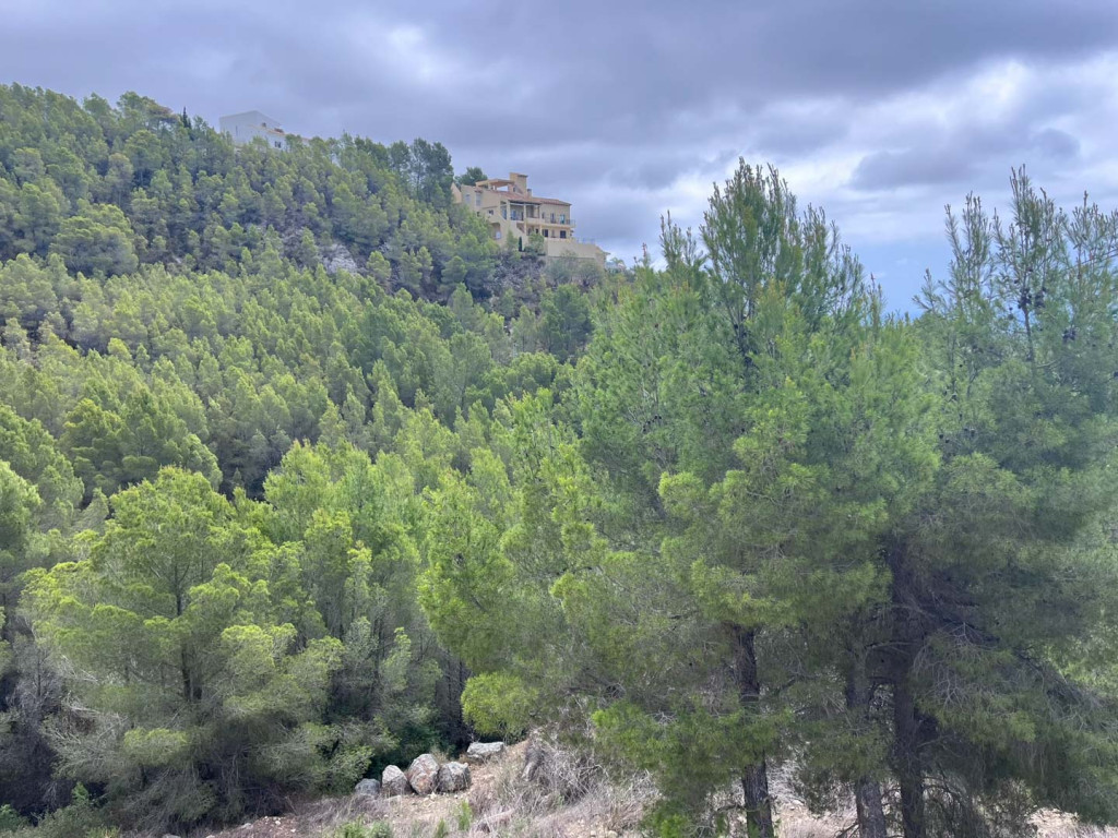 https://www.javeaestates.com/images/osproperty/properties/961/2024_11_4457ALT_10.jpg
