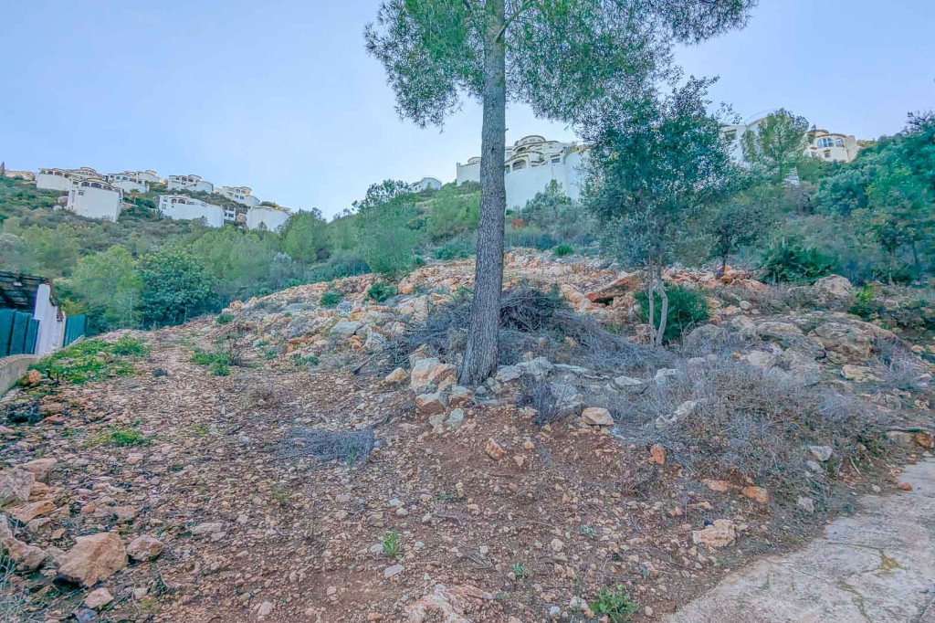 https://www.javeaestates.com/images/osproperty/properties/962/2024_11_8220PEG.jpg