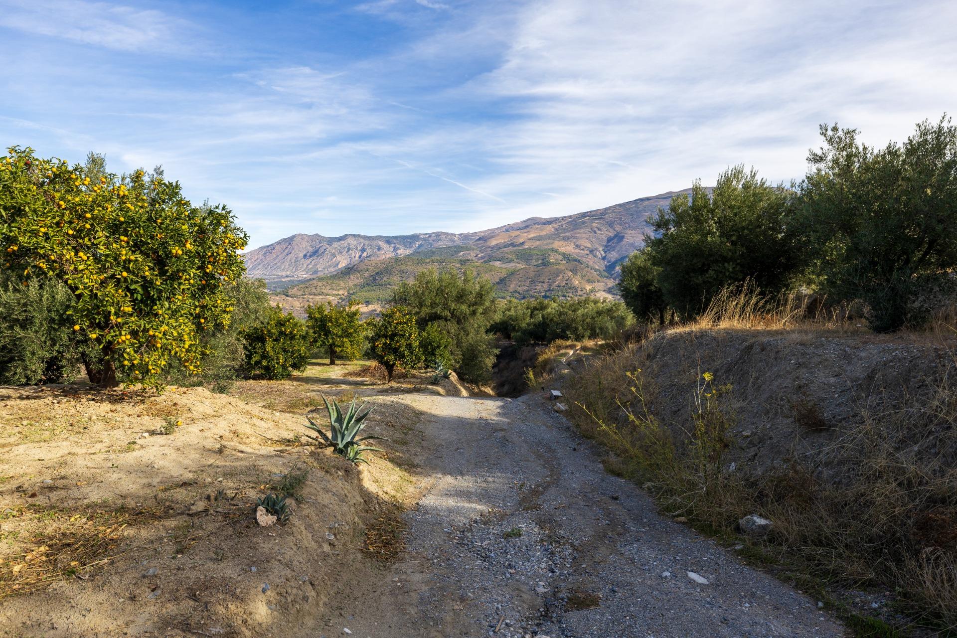 https://fotos15.apinmo.com/5292/29465088/3-1.jpg