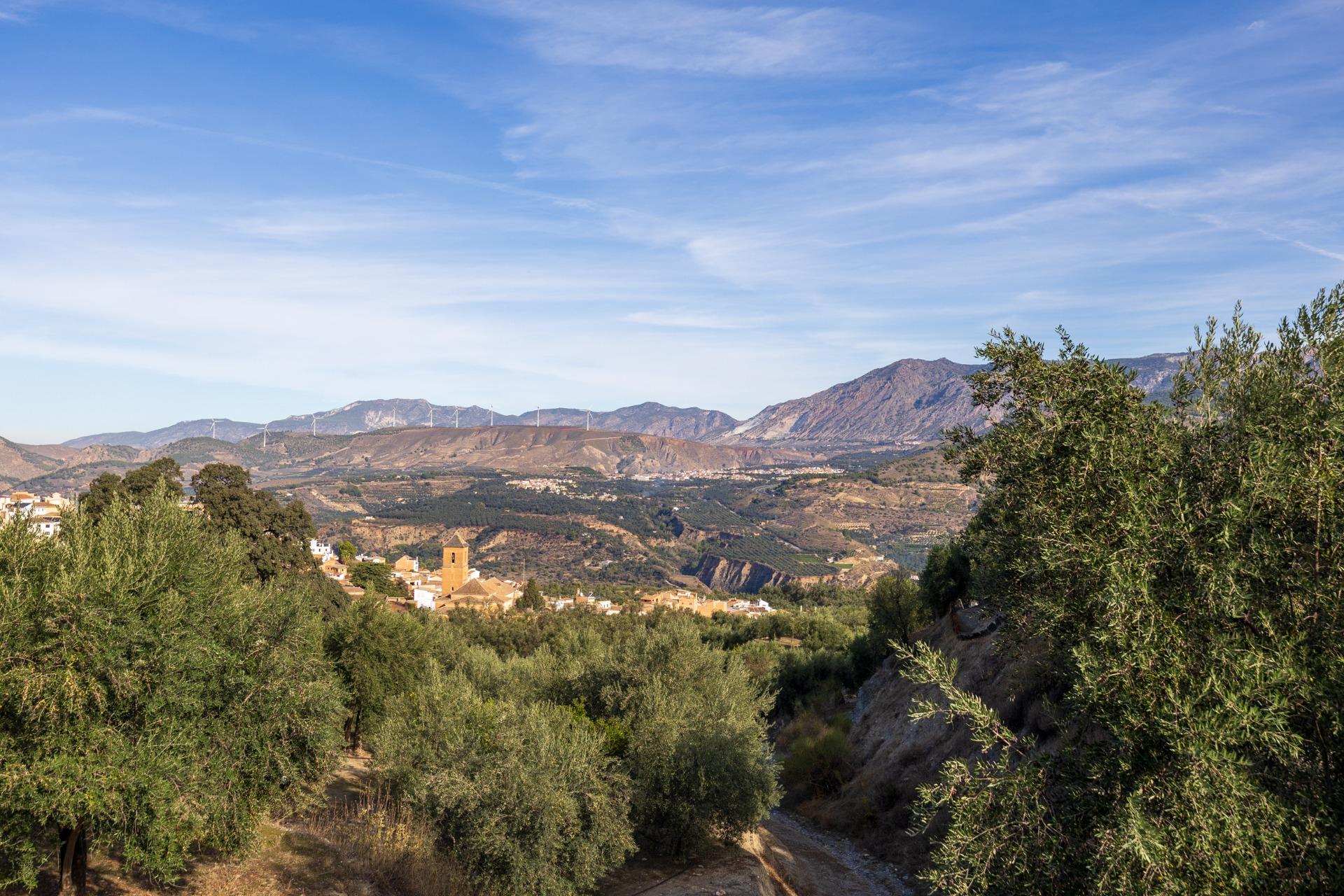 https://fotos15.apinmo.com/5292/29465088/3-6.jpg