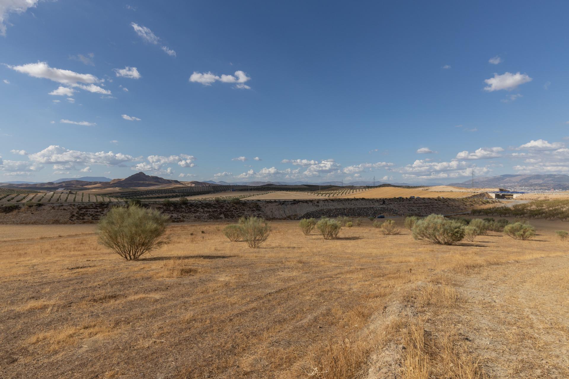 https://fotos15.apinmo.com/5292/29570883/3-7.jpg