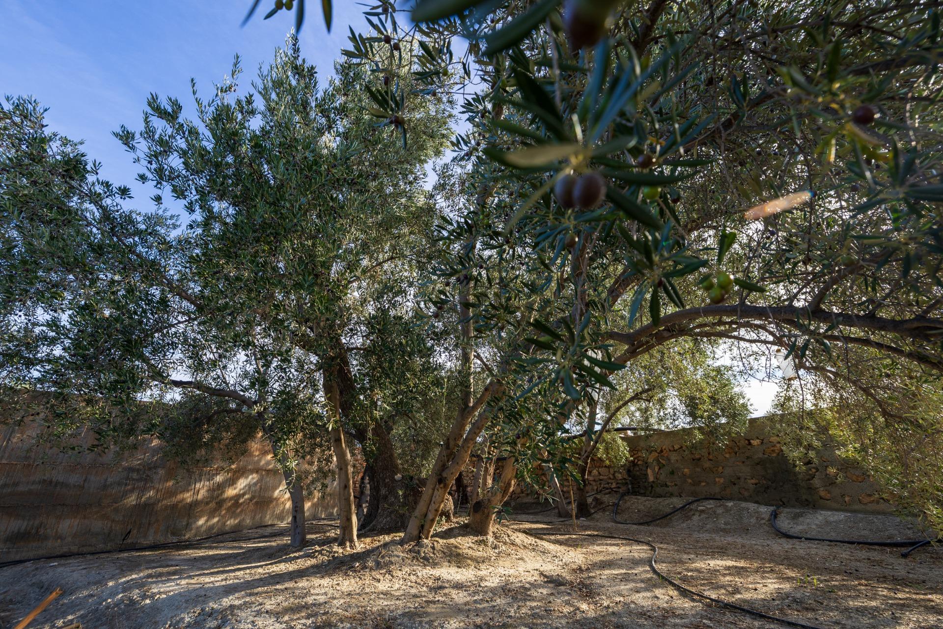 https://fotos15.apinmo.com/5292/29465088/3-8.jpg