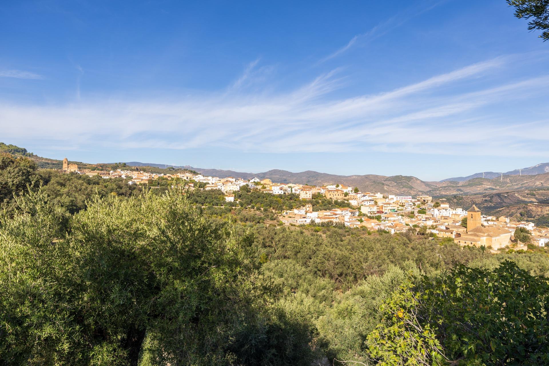 https://fotos15.apinmo.com/5292/29465088/3-2.jpg