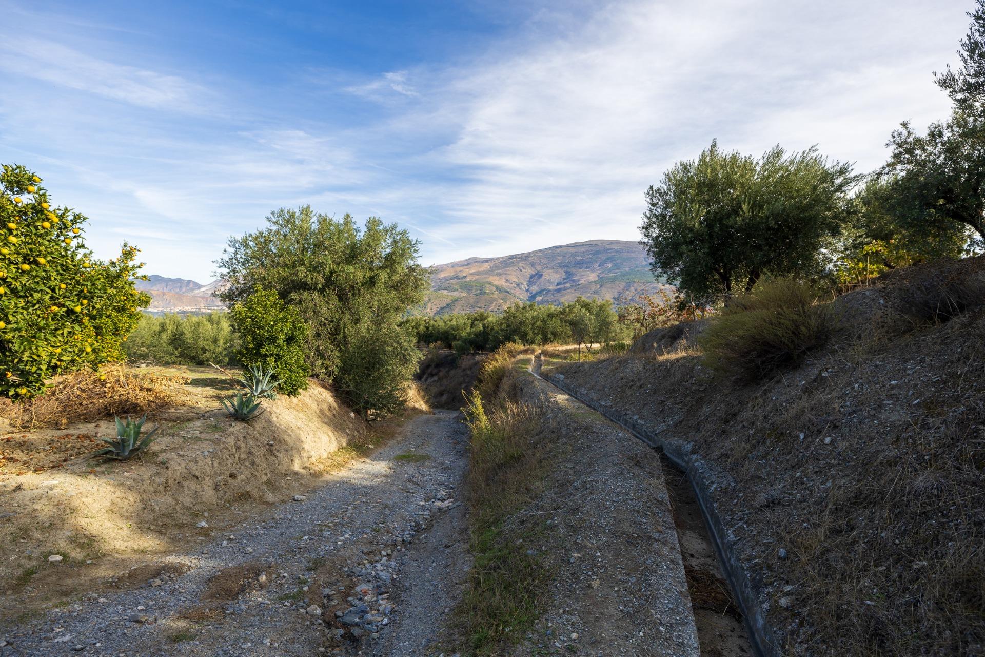 https://fotos15.apinmo.com/5292/29465088/3-3.jpg