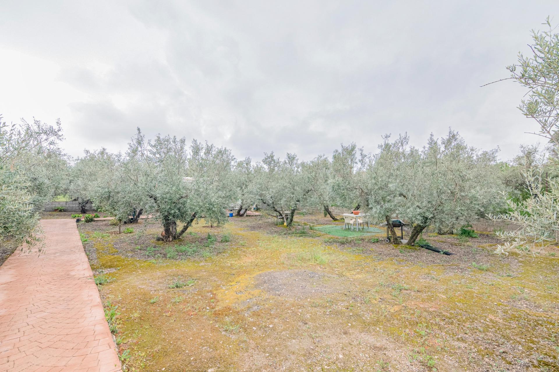 https://fotos15.apinmo.com/5292/29507540/3-3.jpg