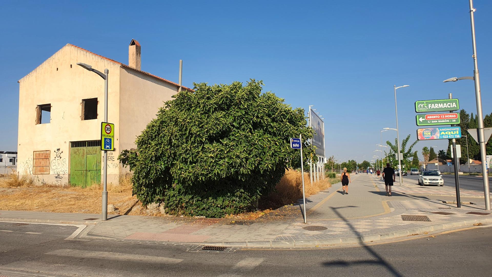 https://fotos15.apinmo.com/5292/29594541/3-4.jpg