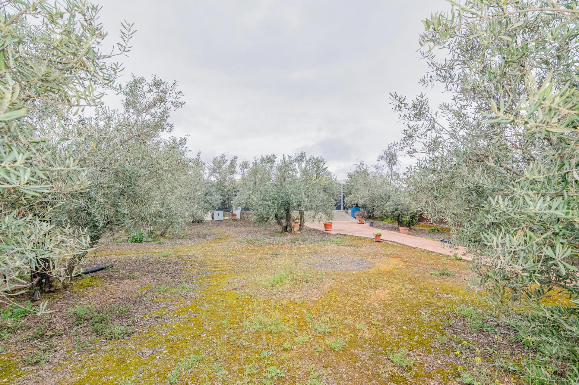 https://fotos15.apinmo.com/5292/29507540/3-5.jpg