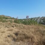 https://production-kyero-property-images.s3.amazonaws.com/21095/21095419/421576579_original.jpg?checksum=5522740aa21c9651018e803bd36dd449fdf20709