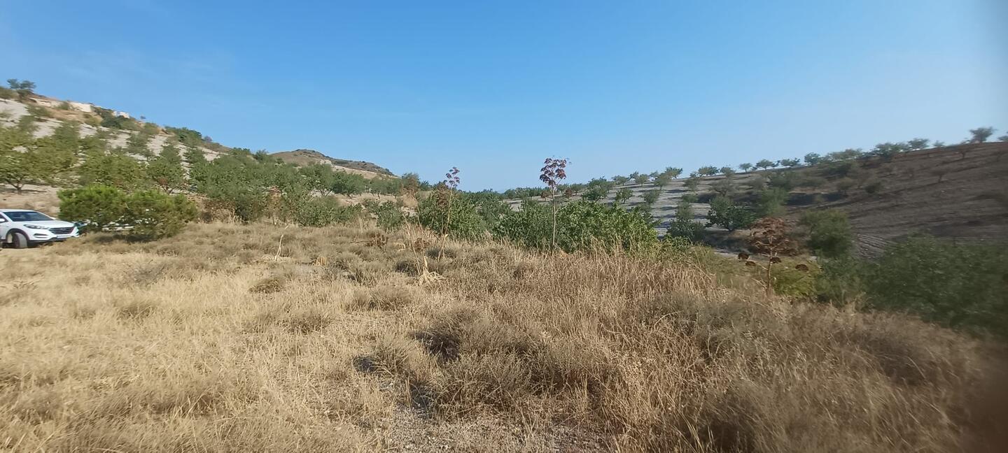 https://production-kyero-property-images.s3.amazonaws.com/21095/21095419/421576579_original.jpg?checksum=5522740aa21c9651018e803bd36dd449fdf20709