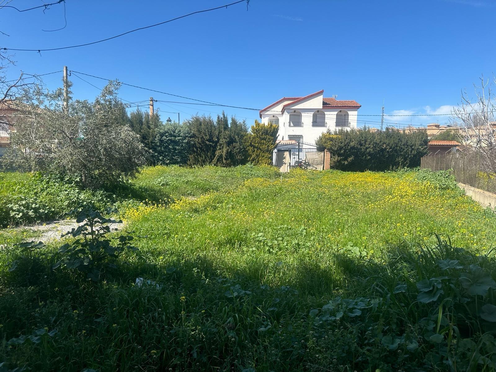 https://fotos15.apinmo.com/5292/21217046/9-6.jpg