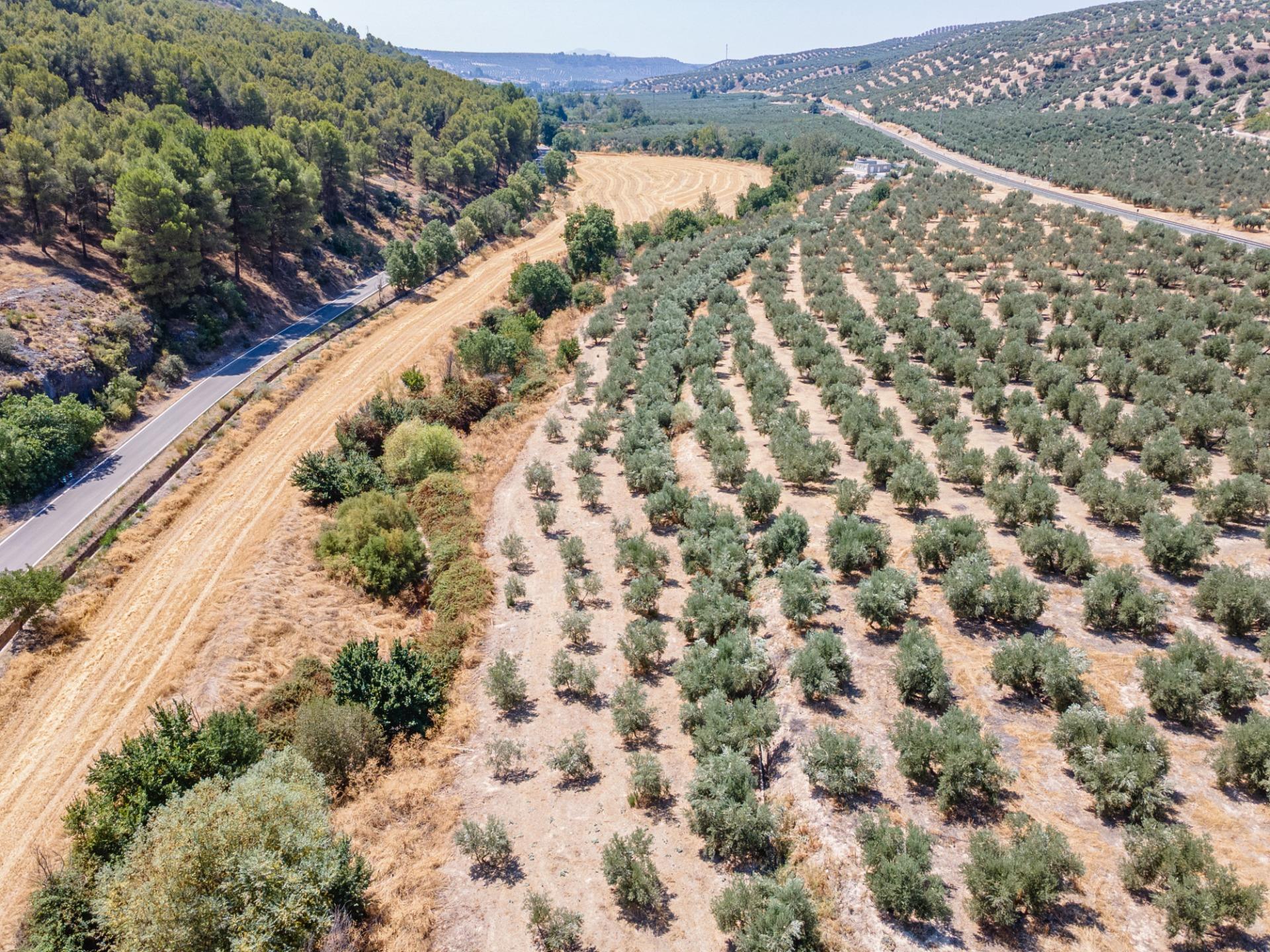 https://fotos15.apinmo.com/5292/29457614/9-8.jpg