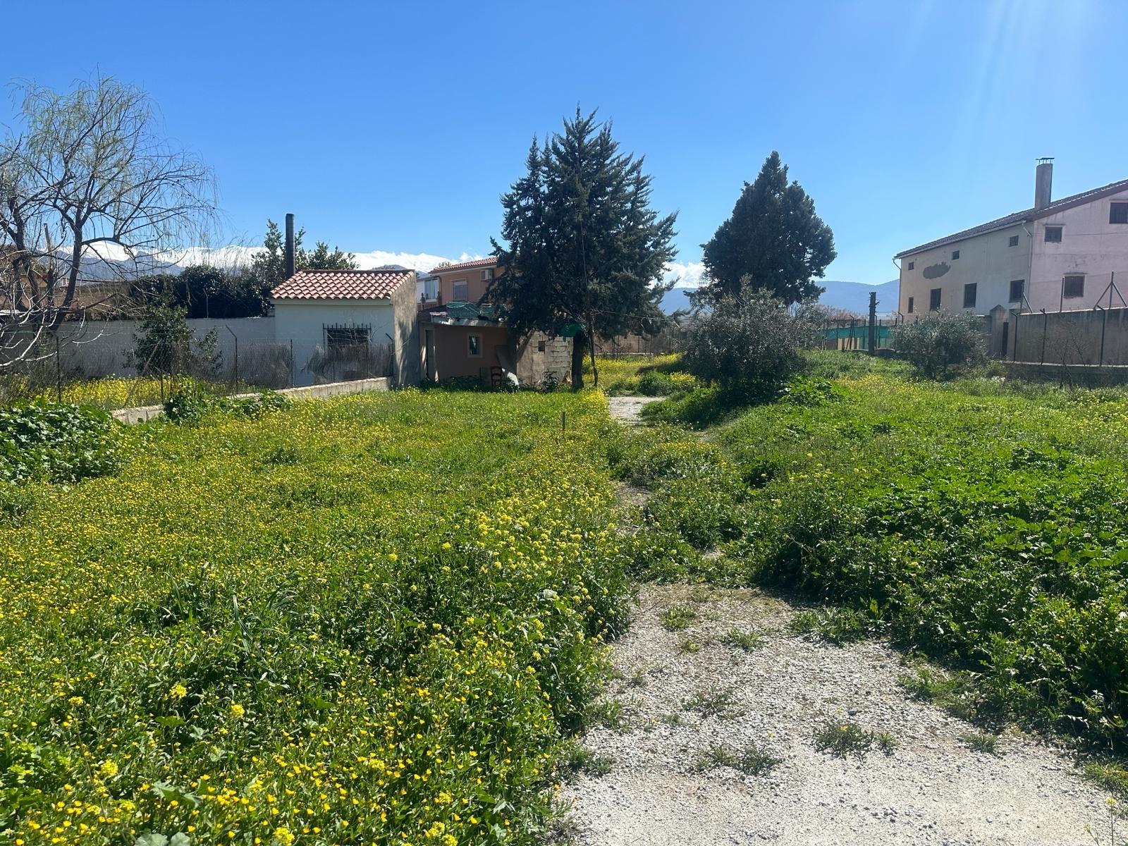 https://fotos15.apinmo.com/5292/21217046/9-3.jpg