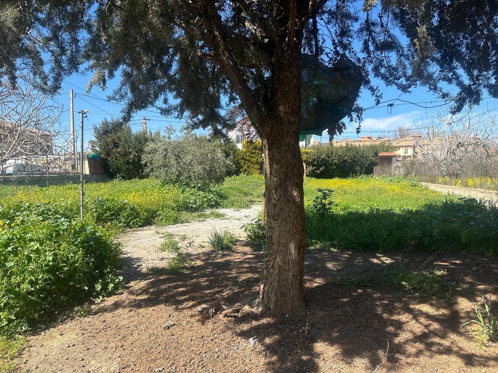 https://fotos15.apinmo.com/5292/21217046/9-4.jpg