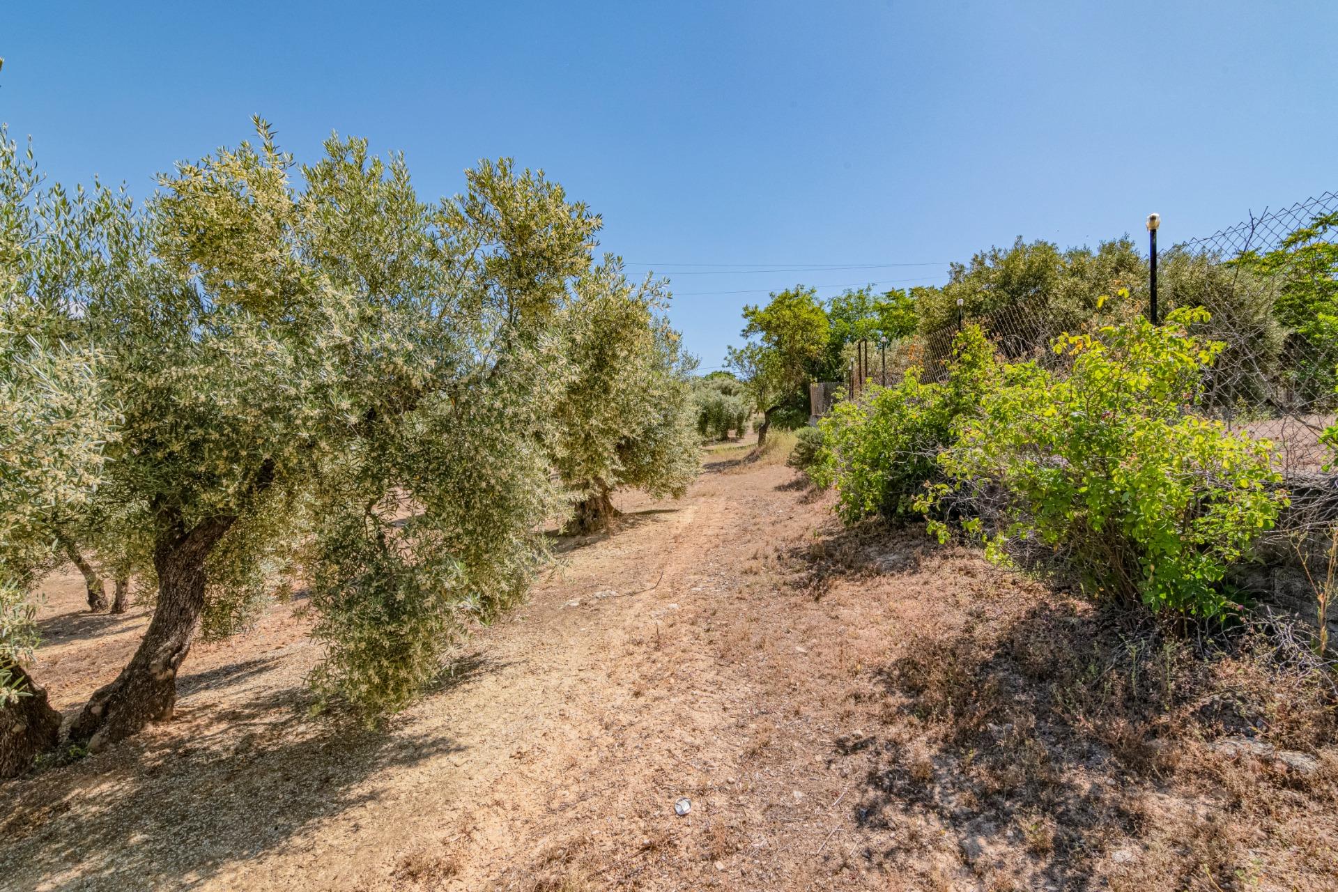 https://fotos15.apinmo.com/5292/29502249/9-5.jpg