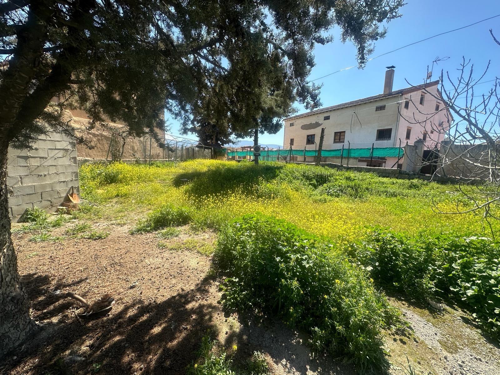https://fotos15.apinmo.com/5292/21217046/9-5.jpg