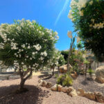 https://www.javeaestates.com/images/osproperty/properties/1409/media_images_properties_o_1jtioihs01b92103db6kv2h1i0f2a.jpg