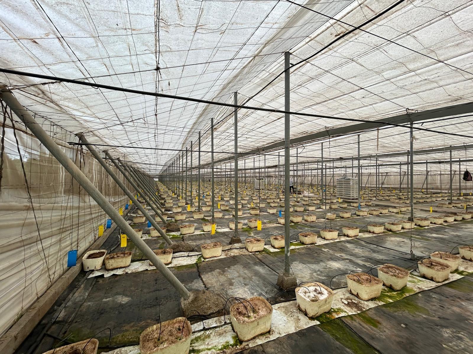 https://fotos15.apinmo.com/5292/29611762/1-2.jpg