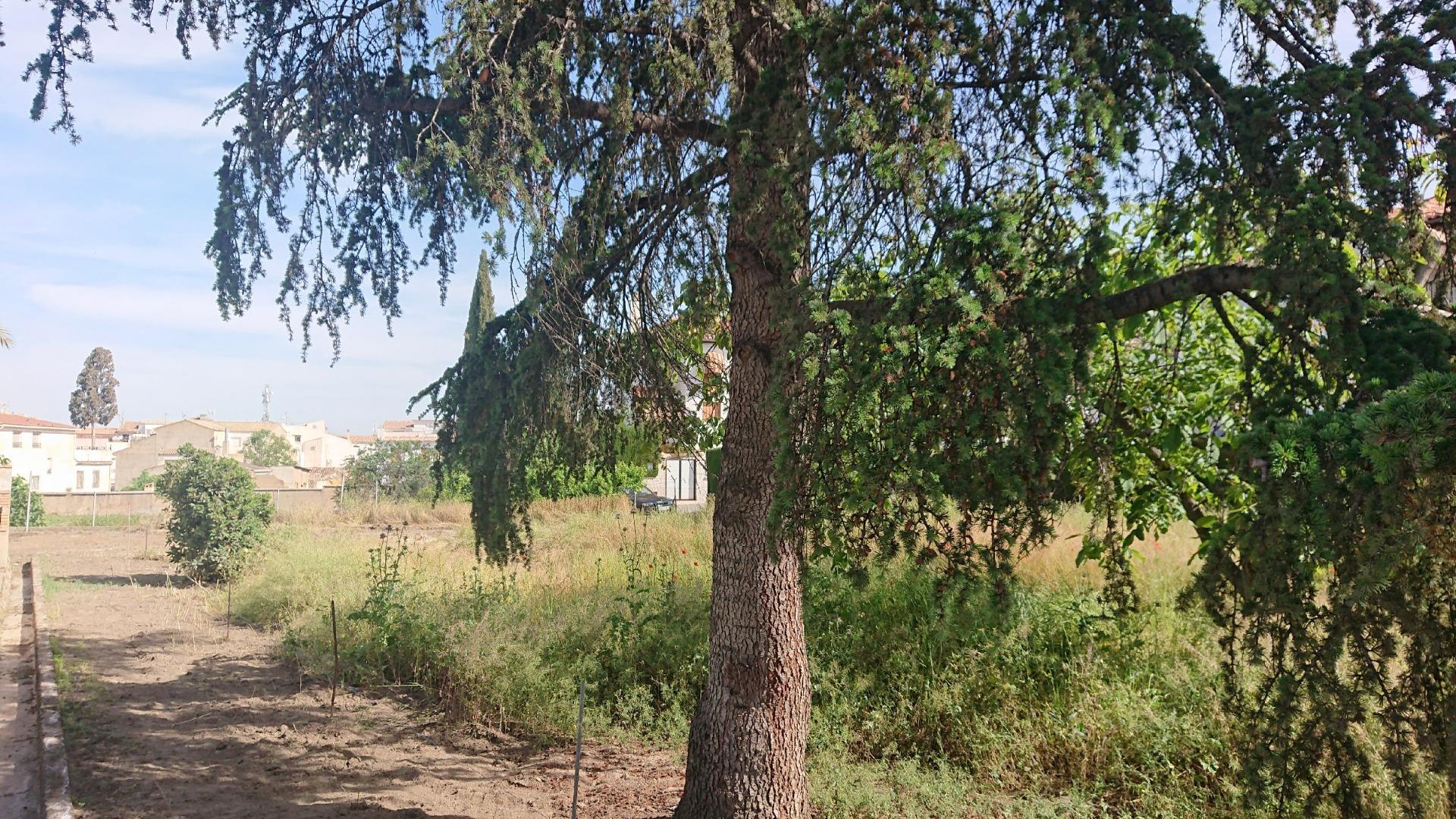 https://fotos15.apinmo.com/5292/29624205/13-4.jpg